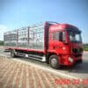 xe tải shacman 8 tấn thùng mui bạt