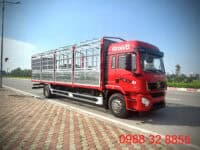 xe tải shacman 8 tấn thùng mui bạt